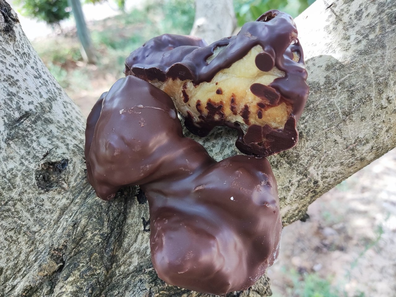 Confiterías El Bernesga dulces de chocolate